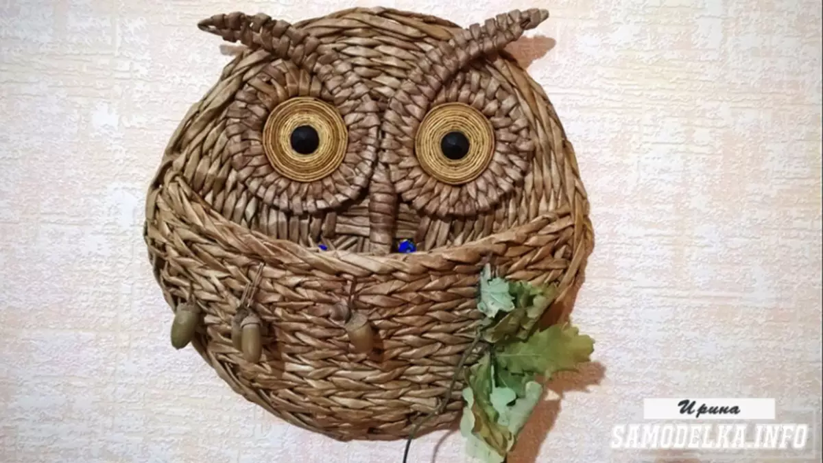 Owl ຈາກທໍ່ຫນັງສືພິມເຮັດດ້ວຍຕົນເອງ: ຊັ້ນແມ່ບົດຂັ້ນ Step-step