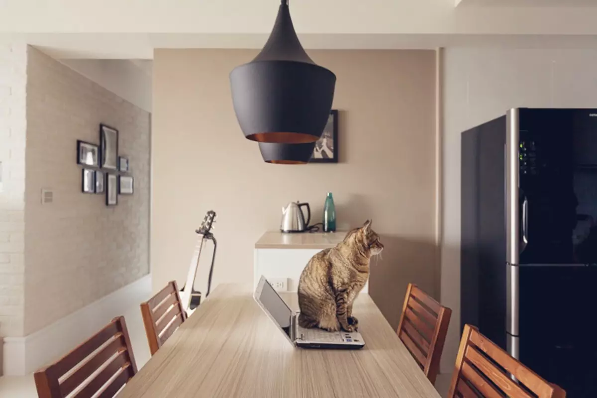 بالا 5 شورا برای طراحی آپارتمان اگر شما یک گربه دارید
