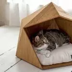 Top 5 conselhos para design de apartamentos, se você tiver um gato