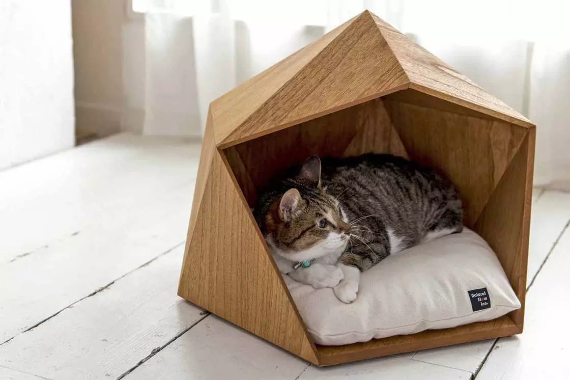 Top 5 rad pro bytový design, pokud máte kočku