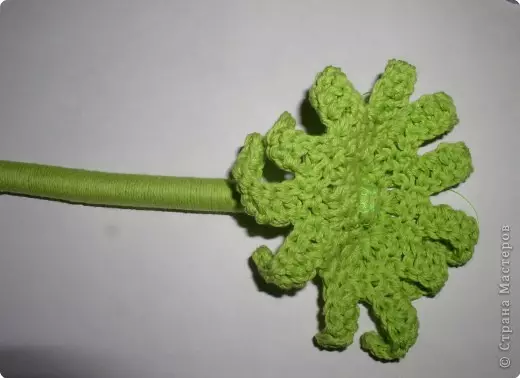 Rose Crochet: Krog na videoposnetku in fotografiji, kako vezati lepe cvetje z lastnimi rokami