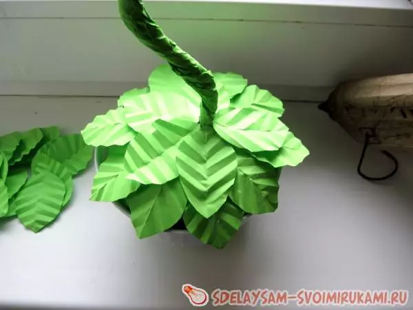Topiaria from paper Corrugation: Master class with photo