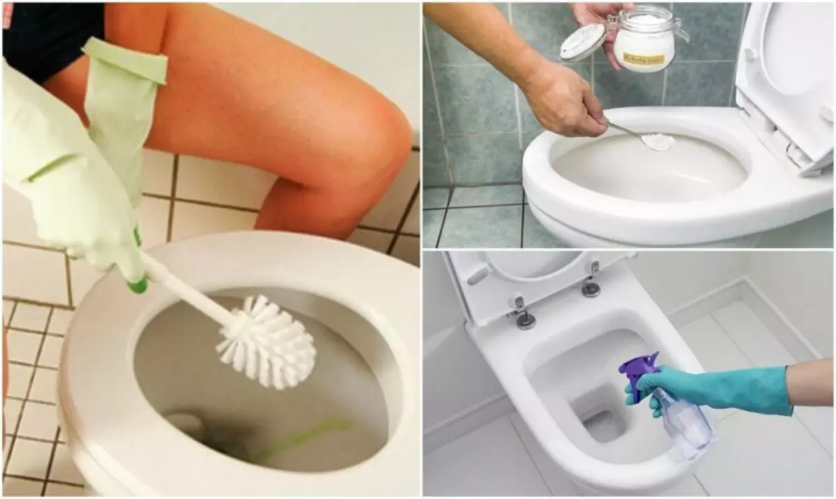 Естествени съоръжения за премахване на плака от тоалетната