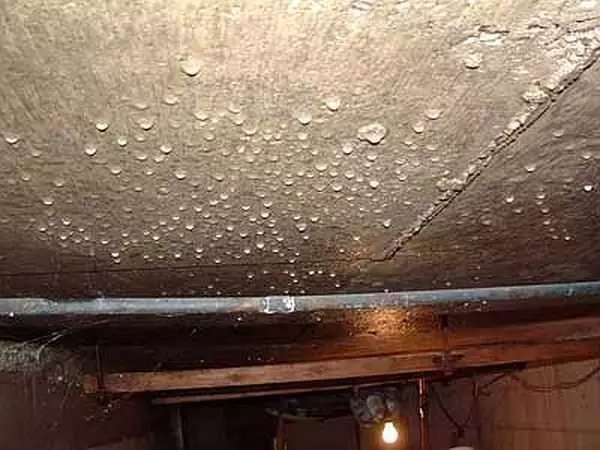 Kako se osušiti podrum: riješite se vlage, kondenzata, kalupa