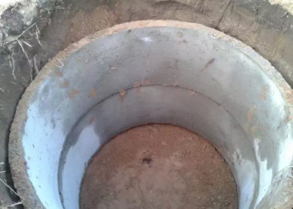 Make a cellar of reinforced concrete rings
