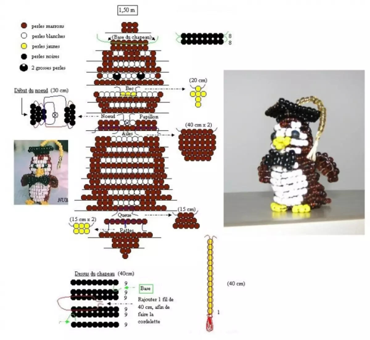 初學者的珠子貓頭鷹：主班與方案和照片