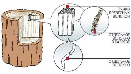 Processing of products from a tree under the antiquity with their own hands