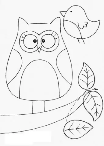 Barkin owl gacmahiisa (2 plates fasalka)