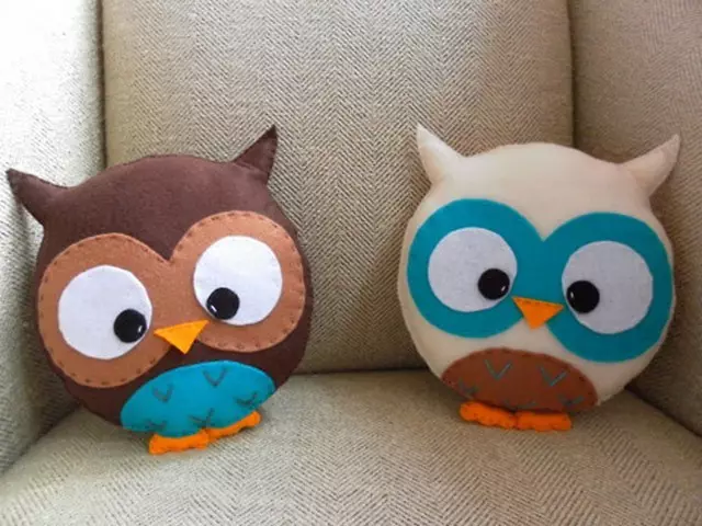 Pillow owl bi destên xwe (2 Master Class)