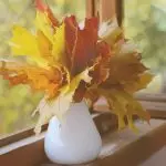 Làm thế nào để trang trí cửa sổ trong mùa thu tự làm?