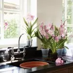 Kitchen Hitam: 5 Tips Desain