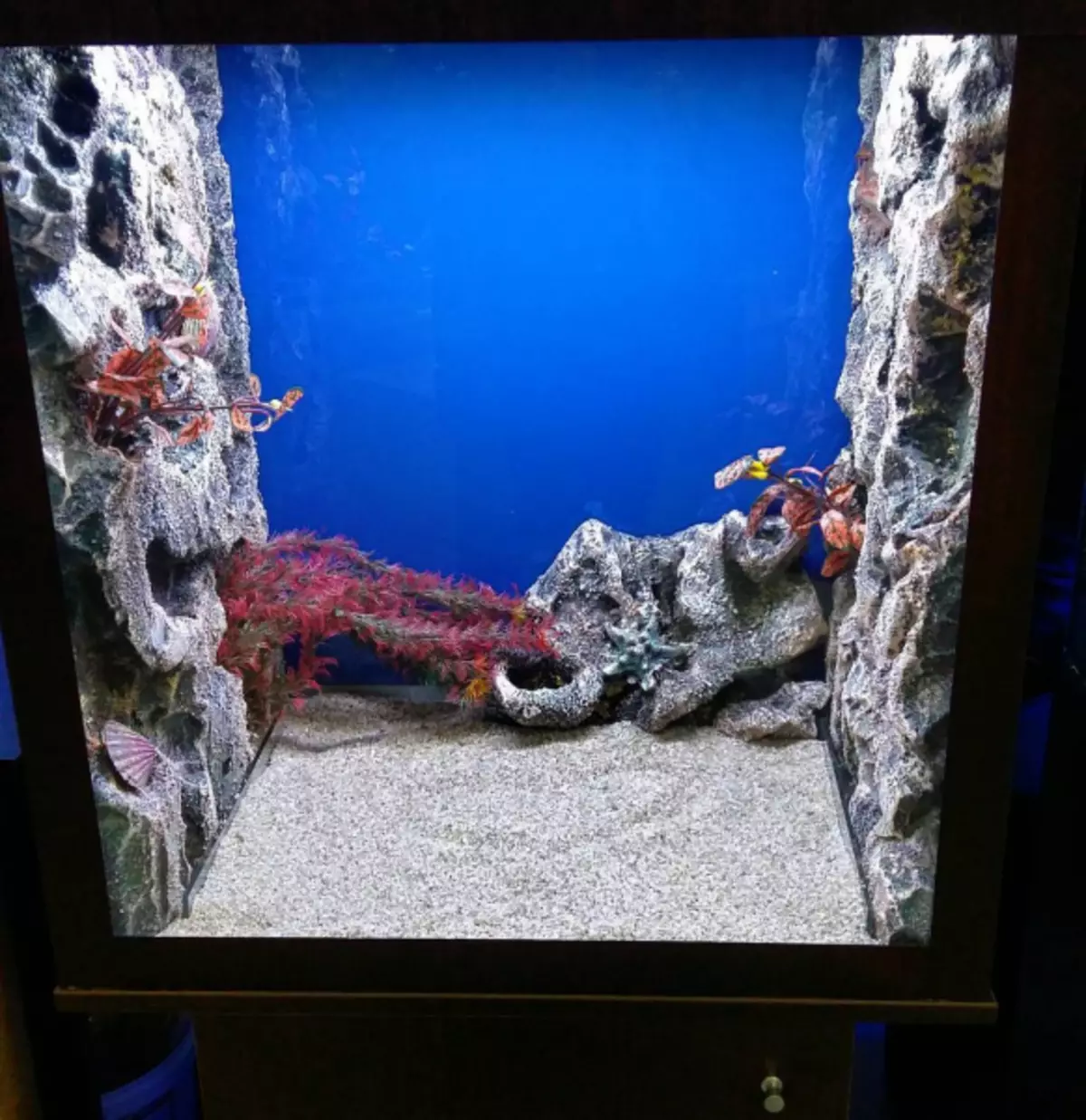 Интересни опции Как да украсите аквариума