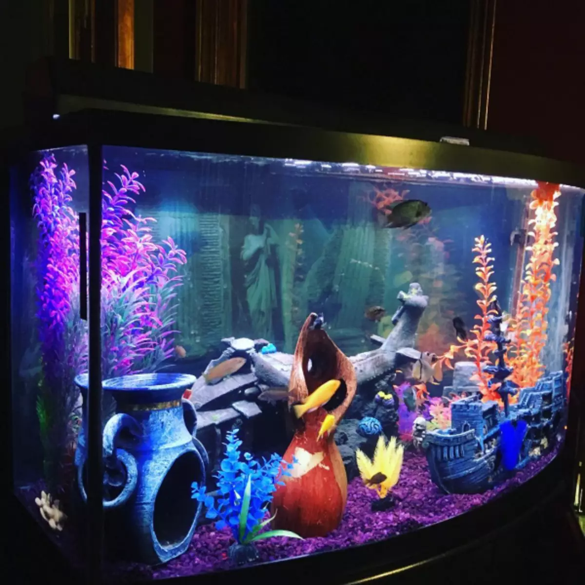 Цікаві варіанти, як прикрасити акваріум