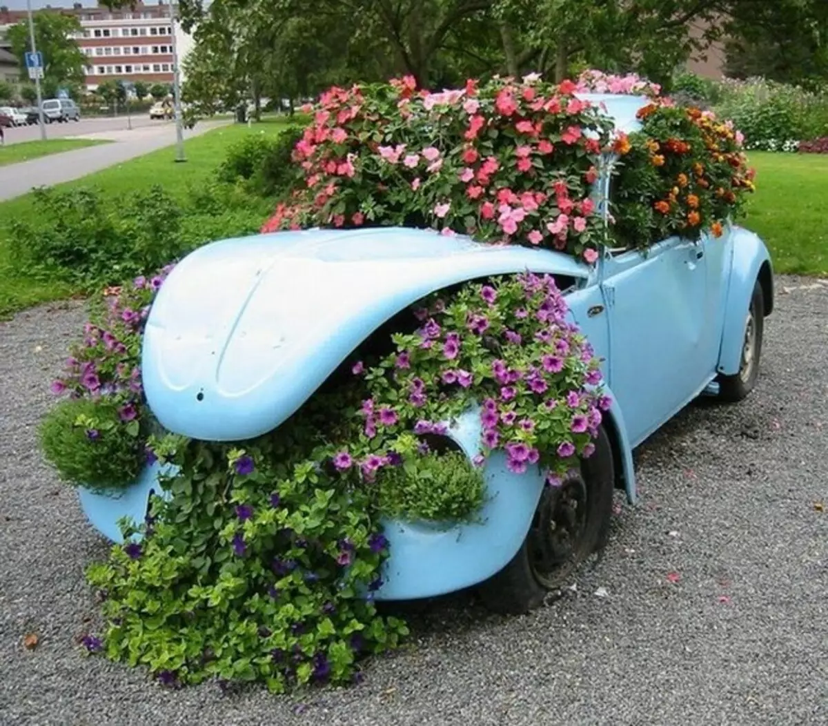 Flors en coses velles: idees inusuals per a llits de flors (40 fotos)