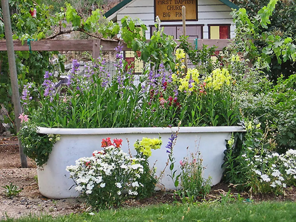 Blomster i gamle ting: Usædvanlige ideer til blomsterbed (40 billeder)