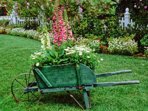 Flors en coses velles: idees inusuals per a llits de flors (40 fotos)