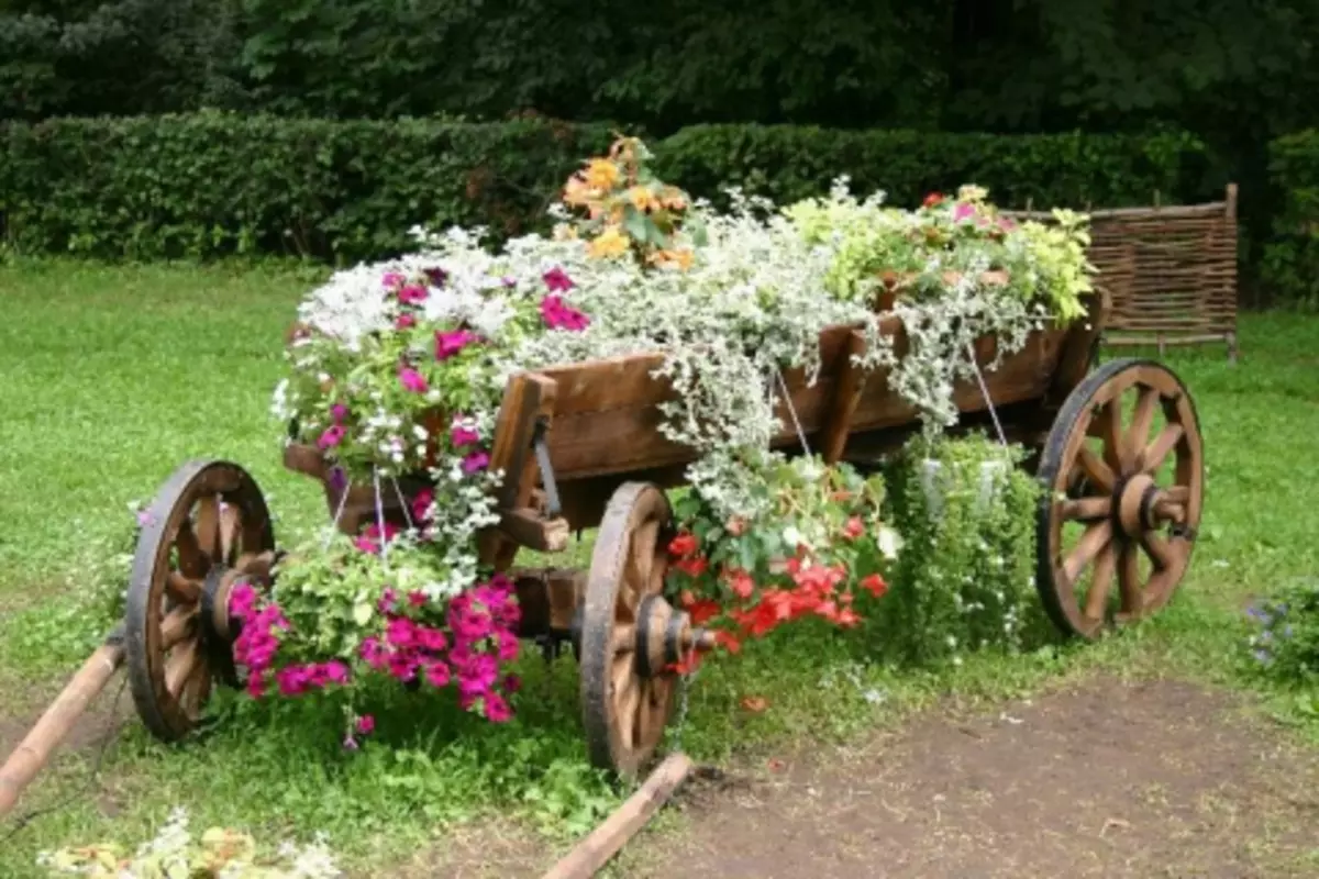 Blomster i gamle ting: Usædvanlige ideer til blomsterbed (40 billeder)