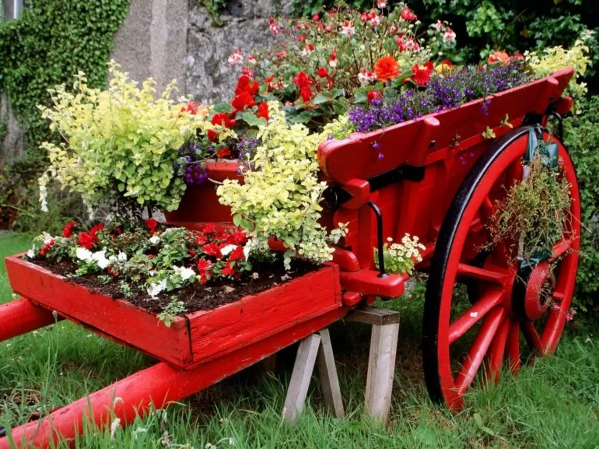 Blomster i gamle ting: Usædvanlige ideer til blomsterbed (40 billeder)