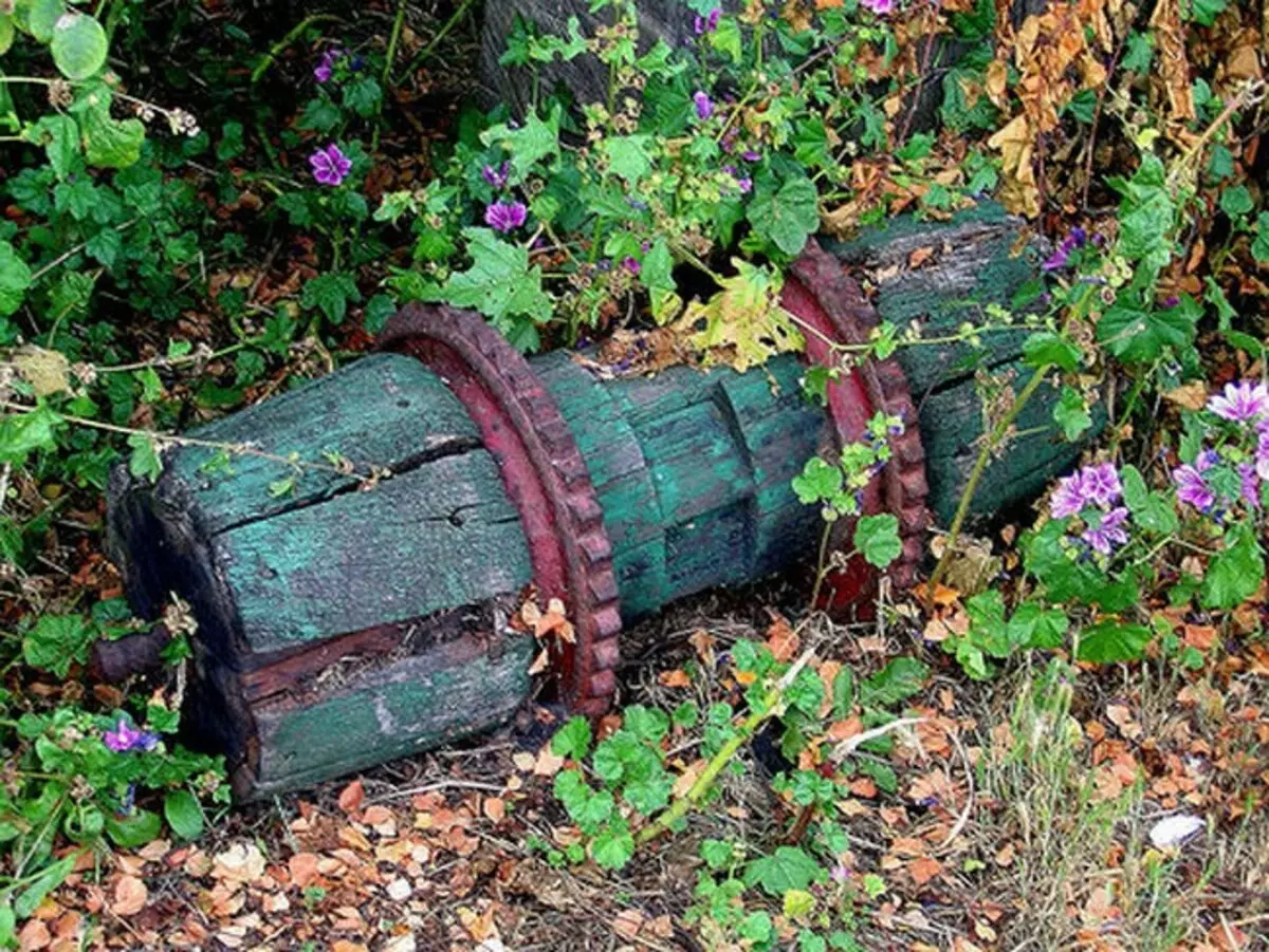 Blomster i gamle ting: Usædvanlige ideer til blomsterbed (40 billeder)