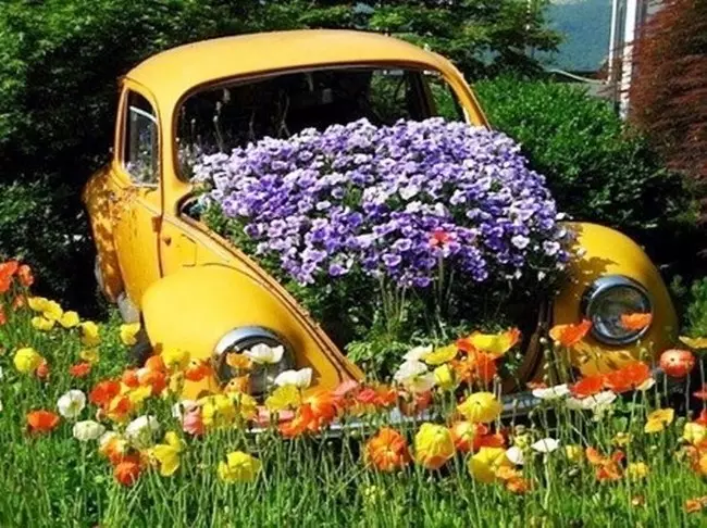 Flors en coses velles: idees inusuals per a llits de flors (40 fotos)