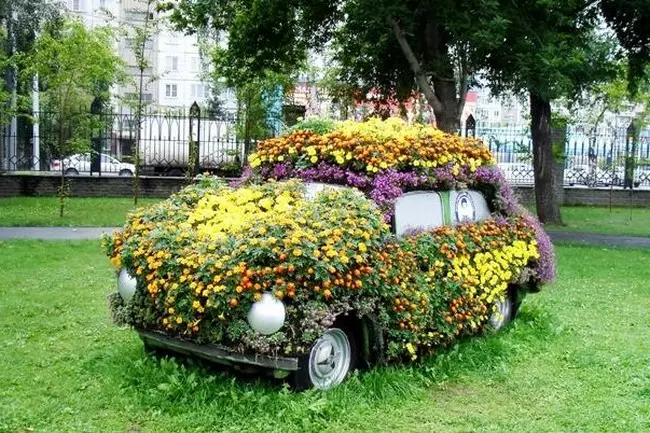 Blomster i gamle ting: Usædvanlige ideer til blomsterbed (40 billeder)