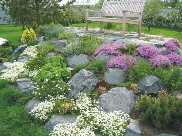 Alpinarium in de tuin: alpine dia met hun eigen handen (30 foto's)