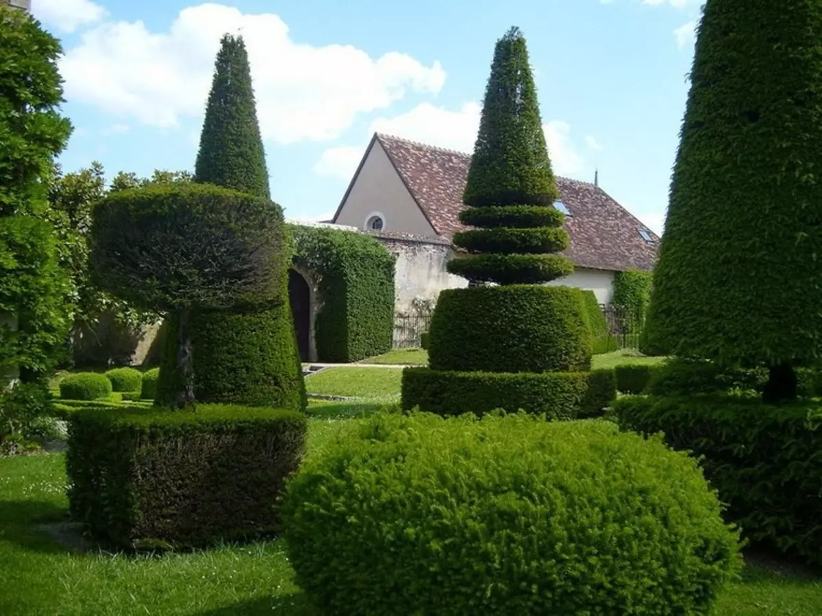 Tópico Jardins: Esculturas incríveis de arbustos e plantas vivas (45 fotos)