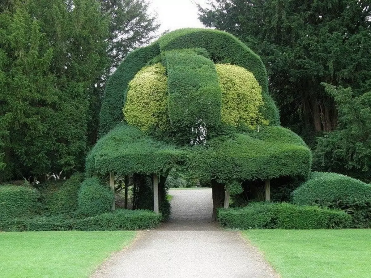 Tópico Jardins: Esculturas incríveis de arbustos e plantas vivas (45 fotos)
