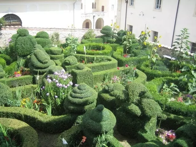 主题花园：生物灌木和植物的惊人雕塑（45张）