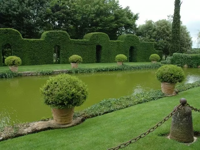 Топиарные сады: дзіўныя скульптуры з жывых кустоў і раслін (45 фота)