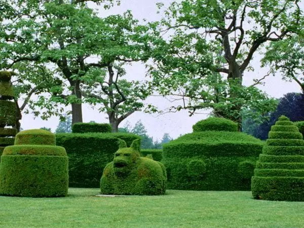 Onderwerp tuine: Amazing beeldhouwerke van lewende struike en plante (45 foto's)