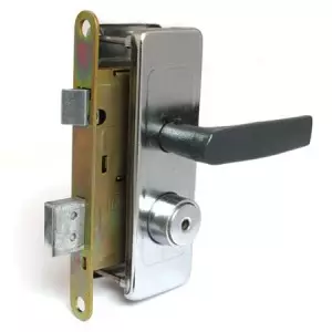 Prerja e bllokave të derës: Rregullat e përzgjedhjes për metalin dhe derën prej druri
