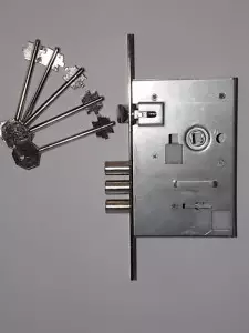 חיתוך מנעולים הדלת: כללי בחירה עבור מתכת דלת עץ