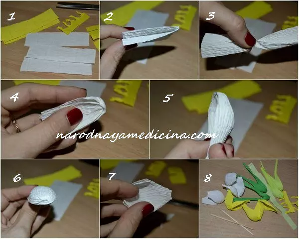 Crocus dari kertas bergelombang dengan tangan mereka sendiri: kelas induk dengan foto