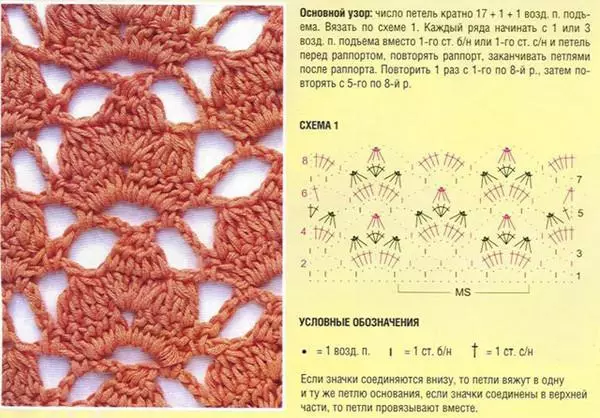 Crochets chops र विवरणहरु को साथ वर्णन को साथ charched: फोटो र भिडियो संग मास्टर वर्ग