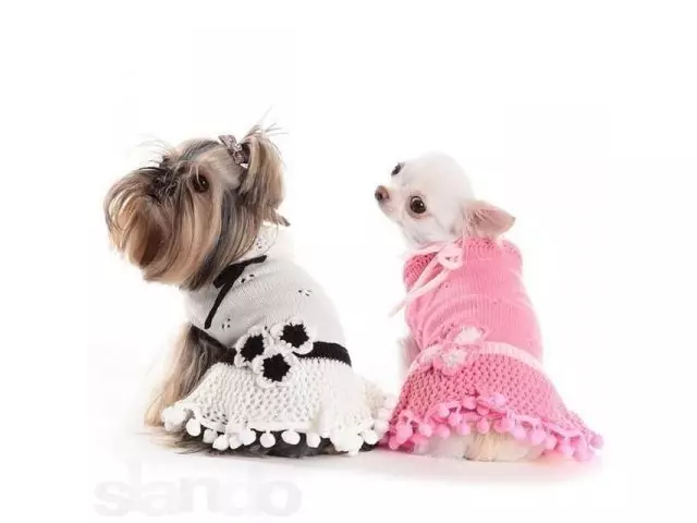 Плетени алишта за кучиња го прават тоа сами: обрасци со фотографии и видео