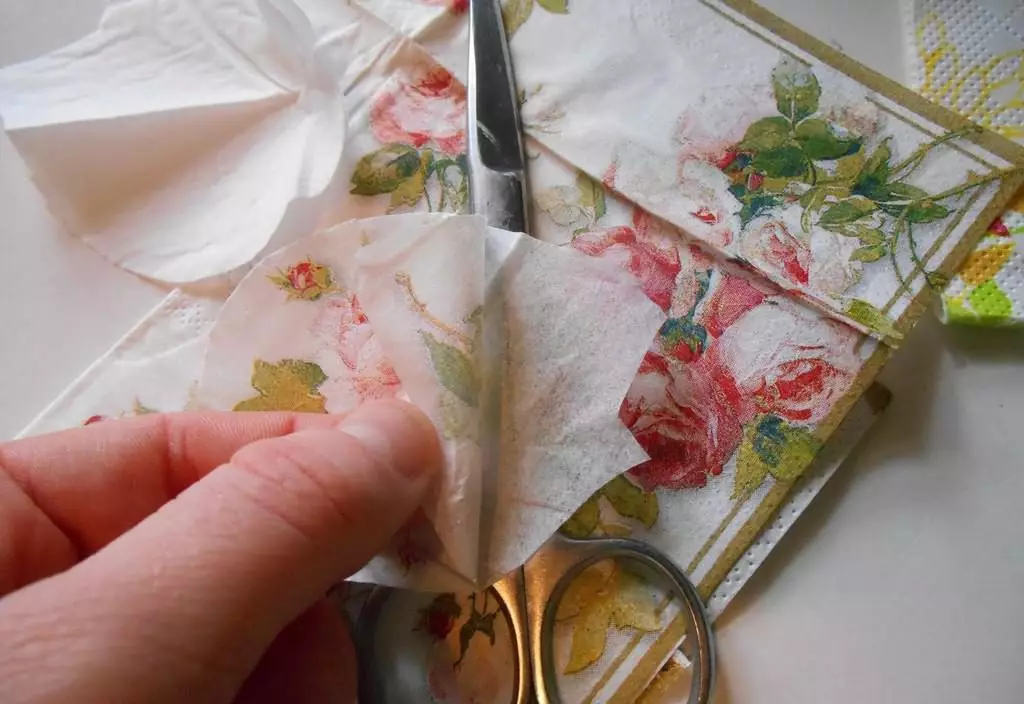 Dissection of the napkin