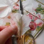 Dissection of the napkin