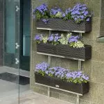 Selezione e installazione di scatole di balcone per fiori (+ vasi casalinghi)