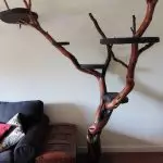 8 opciones decoradas ramas para el hogar