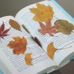[Nggawe ing omah] dekorasi omah musim gugur saka bahan alami