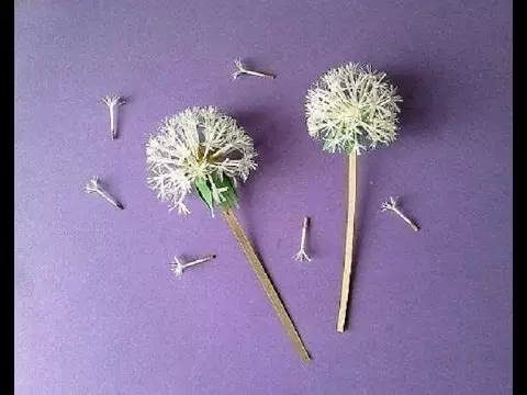 Dandelion los ntawm daim ntawv nrog koj tus kheej tes: Master chav kawm nrog cov qauv