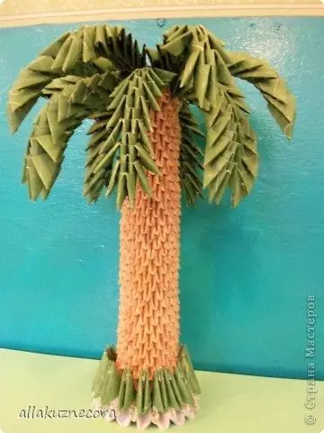 Papur Palm Tree: Dosbarth Meistr gyda llun a fideo