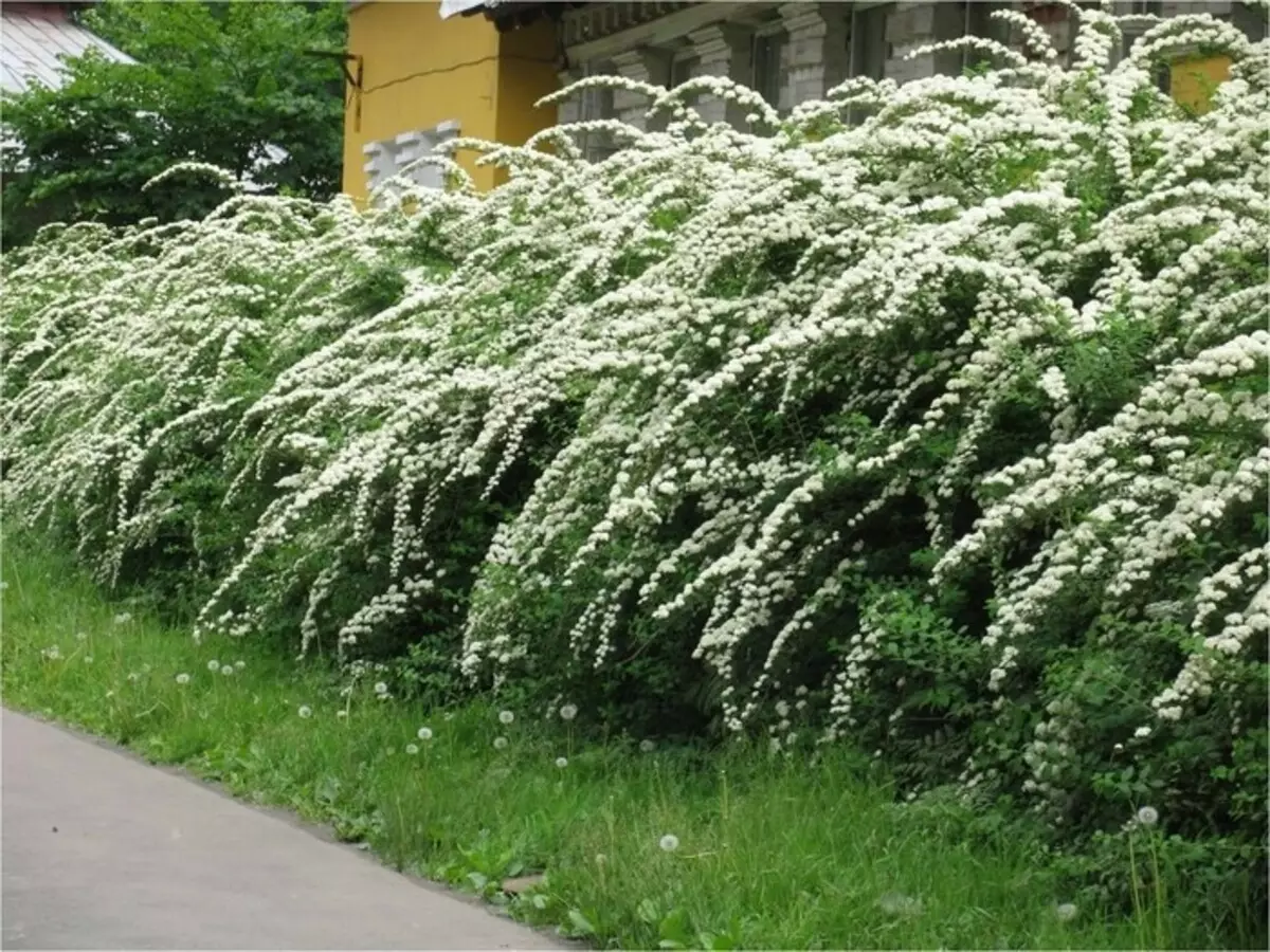 在山寨附近的围栏附近地登陆哪个（20张）