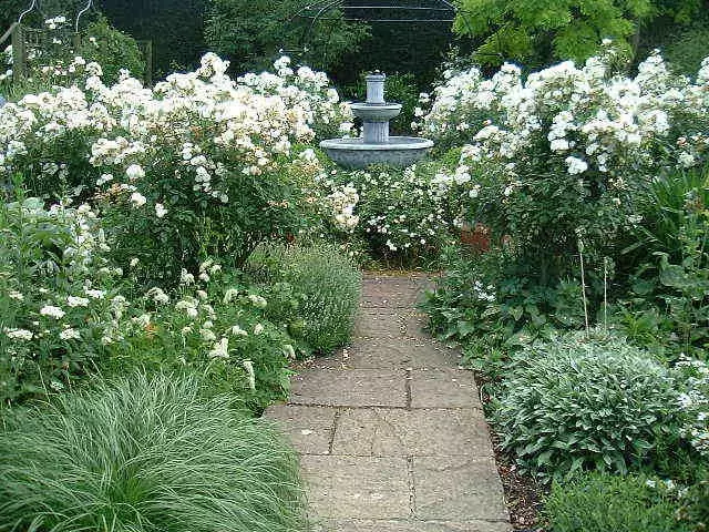 Jardim branco: quais flores brancas colocadas no país (85 fotos)