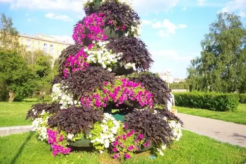 Vertikale blombeddings in die land (45 foto's)