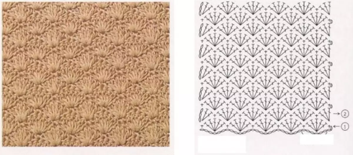 Намунаи кушодани Crochet барои Bloousy тобистон: Схема бо аксҳо ва видео