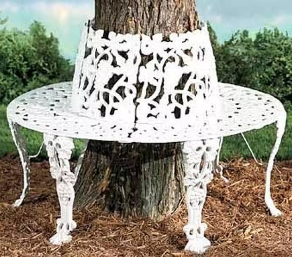 ספסל בגן בקוטג ': עיצוב רעיונות (30 תמונות)
