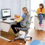 Como elixir unha cadeira de oficina para unha oficina na casa?