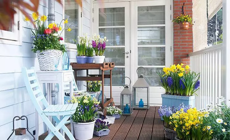Blumen auf dem Balkon: Wie man einen blühenden Garten wächst